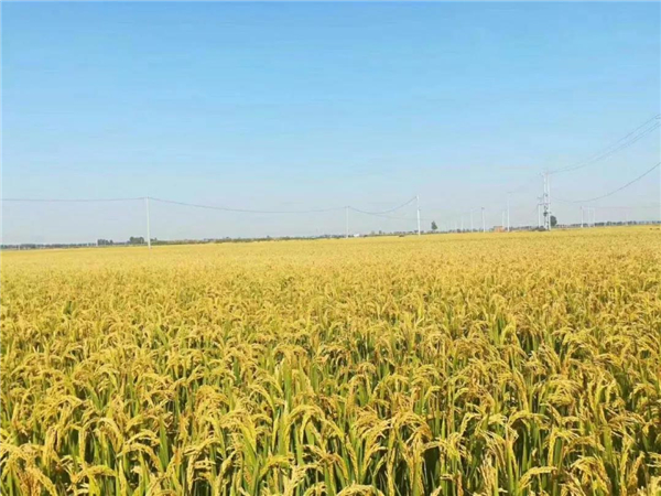 1566288887.jpg 微信圖片_20190820161219.jpg