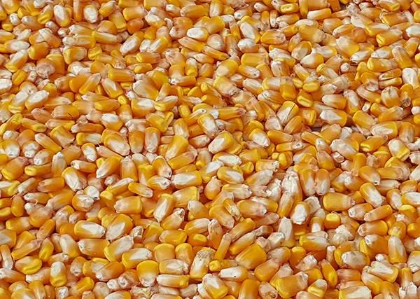 1645142480.jpg 微信图片_20220218080052.jpg